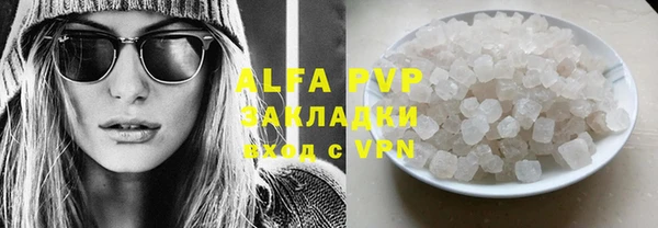индика Баксан