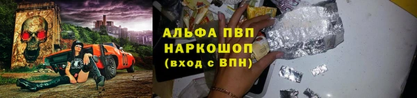 индика Баксан