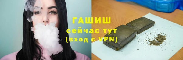 индика Баксан