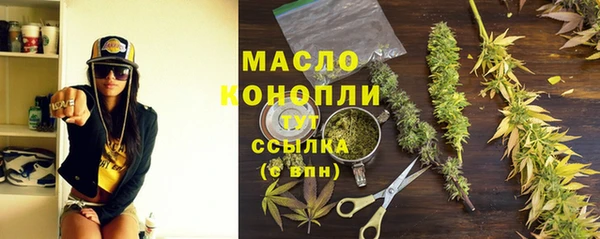 индика Баксан
