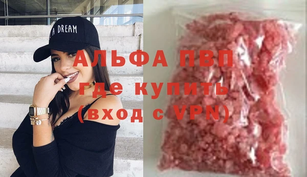 индика Баксан