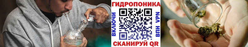 Конопля MAZAR Светогорск